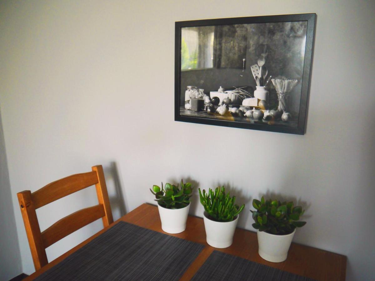 Apartament Apartament Unikat Katowice Zewnętrze zdjęcie